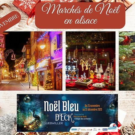 Chez Patisa - Business And Tourism - Rbnb Guebwiller Luaran gambar